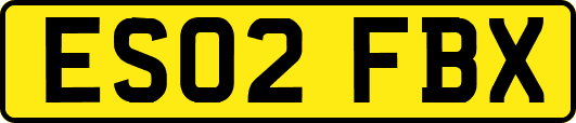 ES02FBX