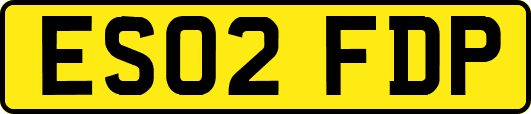 ES02FDP