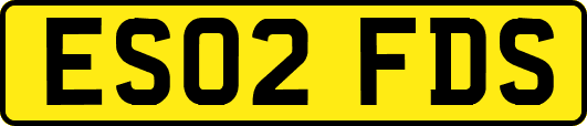 ES02FDS