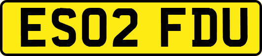 ES02FDU