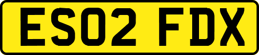 ES02FDX