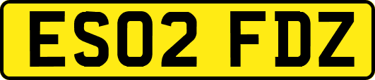 ES02FDZ