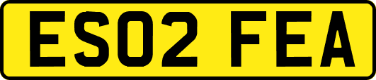 ES02FEA