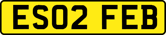 ES02FEB