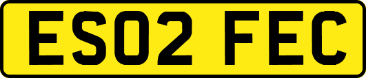ES02FEC