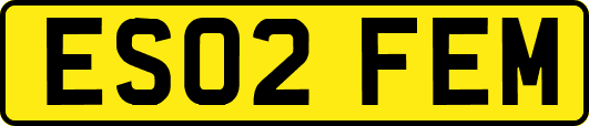 ES02FEM