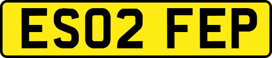 ES02FEP