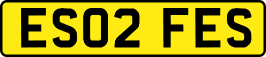 ES02FES