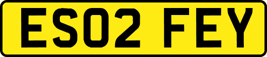 ES02FEY