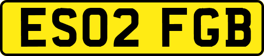ES02FGB
