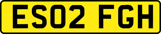 ES02FGH