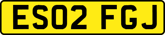 ES02FGJ