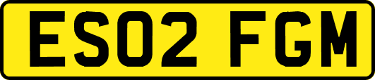 ES02FGM
