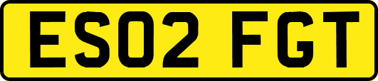 ES02FGT