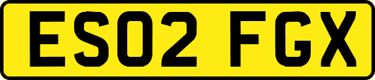 ES02FGX