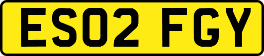 ES02FGY