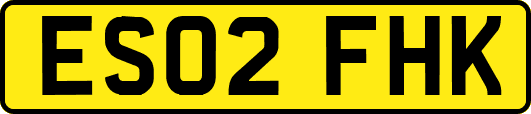ES02FHK