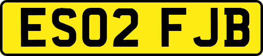 ES02FJB