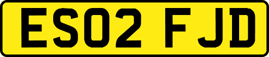 ES02FJD