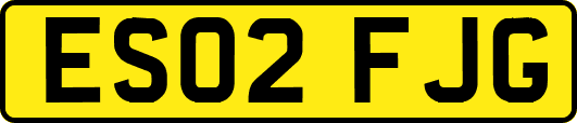 ES02FJG