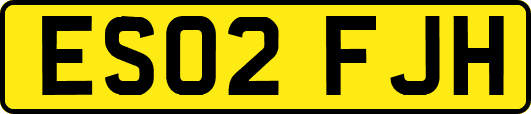 ES02FJH