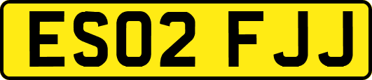 ES02FJJ