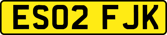 ES02FJK