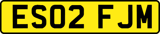 ES02FJM