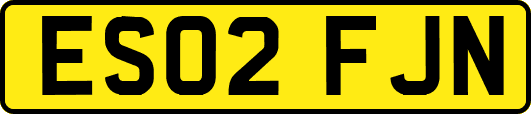 ES02FJN