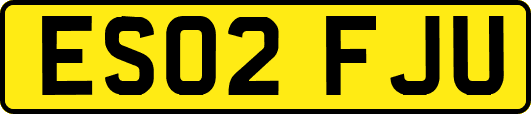 ES02FJU