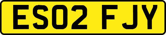 ES02FJY