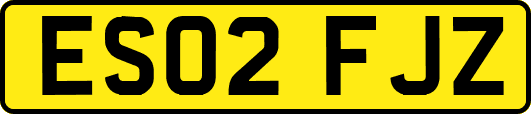 ES02FJZ
