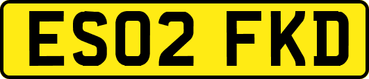ES02FKD