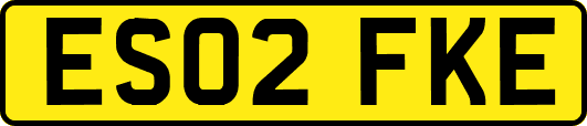 ES02FKE
