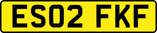 ES02FKF