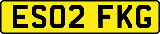 ES02FKG