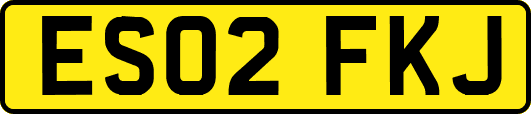 ES02FKJ