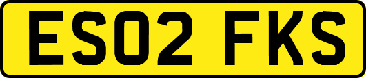 ES02FKS