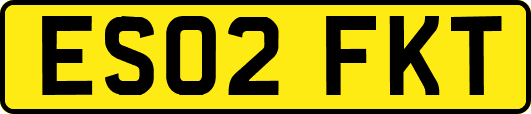ES02FKT