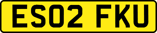 ES02FKU