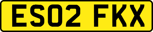 ES02FKX