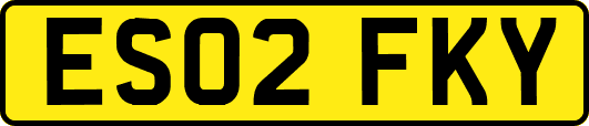 ES02FKY