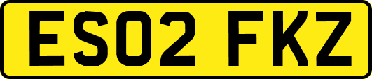 ES02FKZ