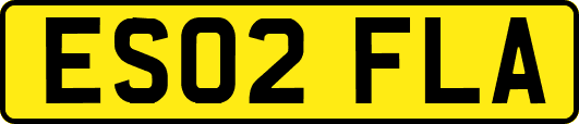 ES02FLA