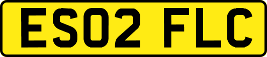 ES02FLC