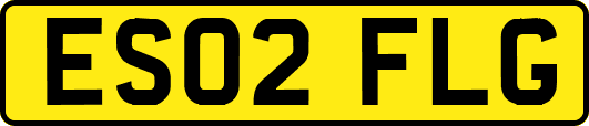 ES02FLG
