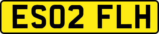 ES02FLH