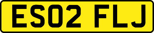 ES02FLJ