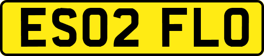 ES02FLO