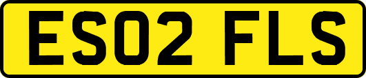 ES02FLS